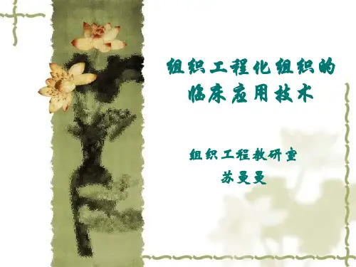 血管、神经组织工程