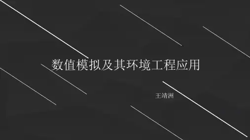 数值模拟及其环境工程应用