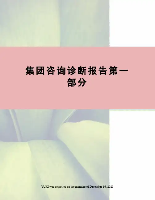 集团咨询诊断报告第一部分