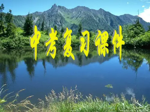 《中考复习分式方程》PPT课件