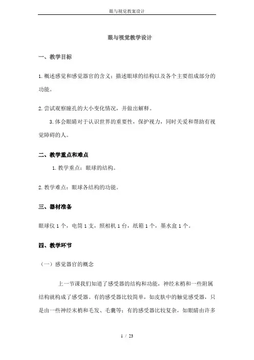 眼与视觉教案设计