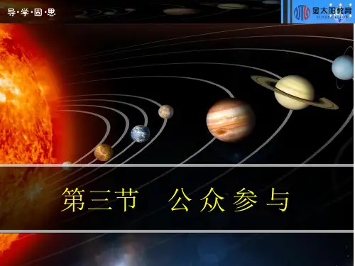 人教课标版《公众参与》PPT1