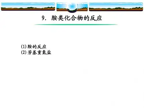 9.胺的反应