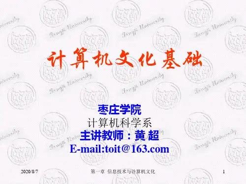 信息技术与计算机文化.pptx