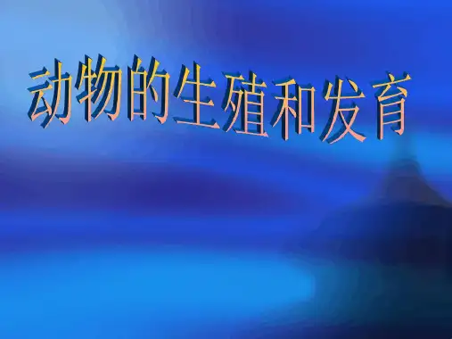 鸟类的生殖和发育