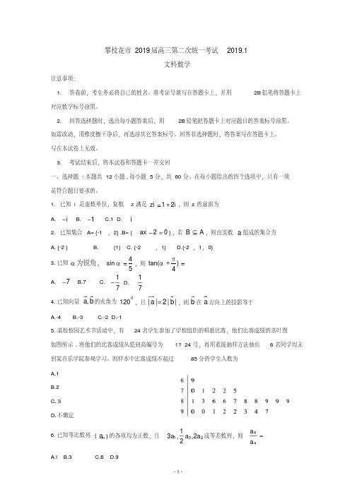 四川省攀枝花市2019届高三第二次统一考试数学(文)试卷Word版含答案