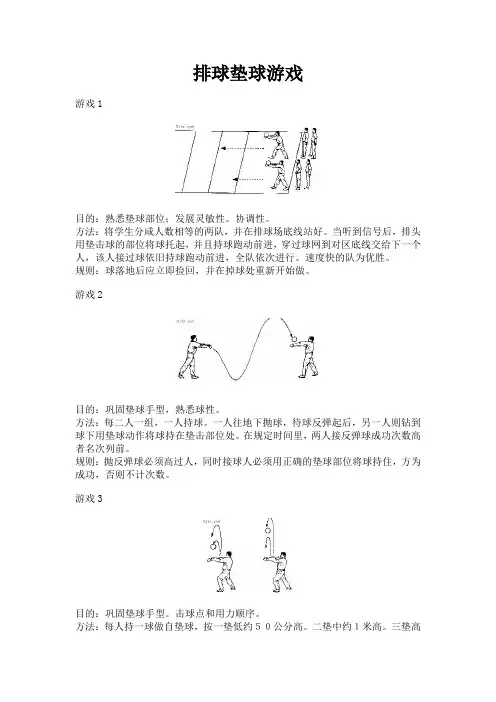 排球垫球游戏(精)