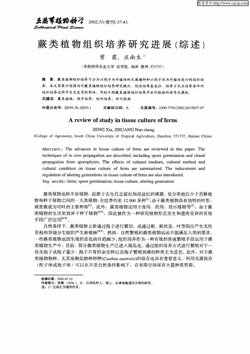 蕨类植物组织培养研究进展(综述)