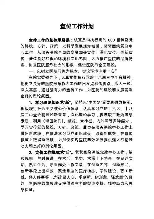 医院宣传工作计划 2
