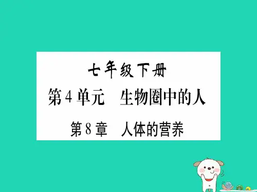 (贵港地区)2019年中考生物总复习 七下 第4单元 第8章 人体的营养习题课件
