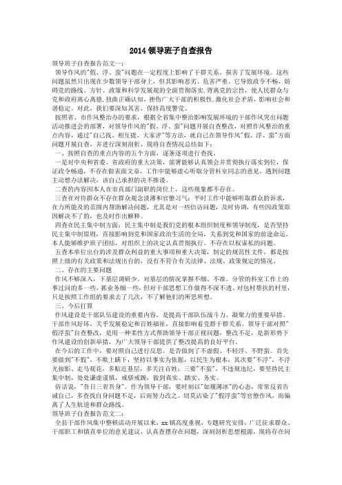 2014领导班子自查报告