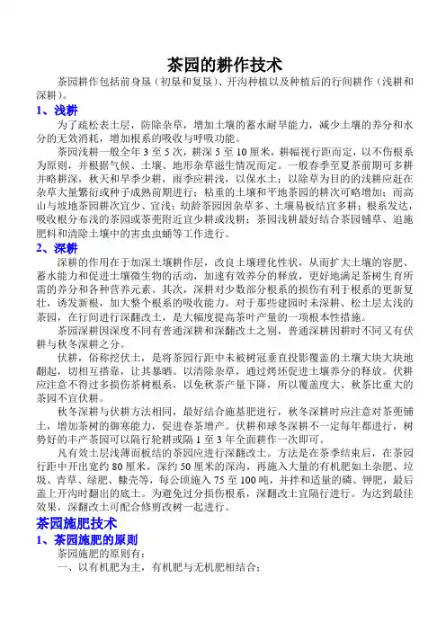 茶园的耕作技术