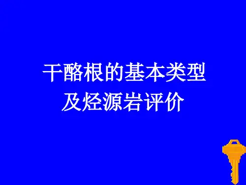 干酪根基本类型及烃源岩评价