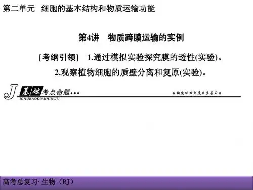 创新导学案2015高考生物一轮课件：2-4物质跨膜运输的实例