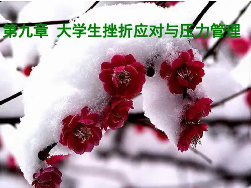 第九章大学生挫折应对与压力管理