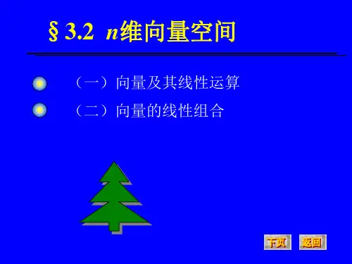 向量
