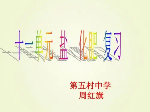 第十一单元《盐 化肥》复习