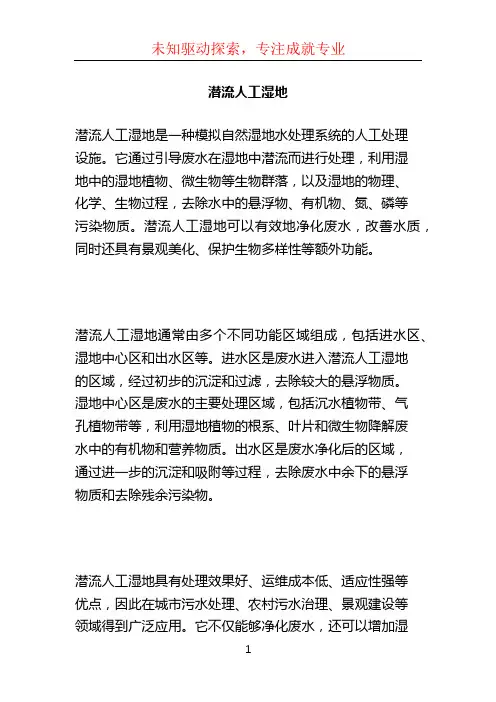 潜流人工湿地 (2)