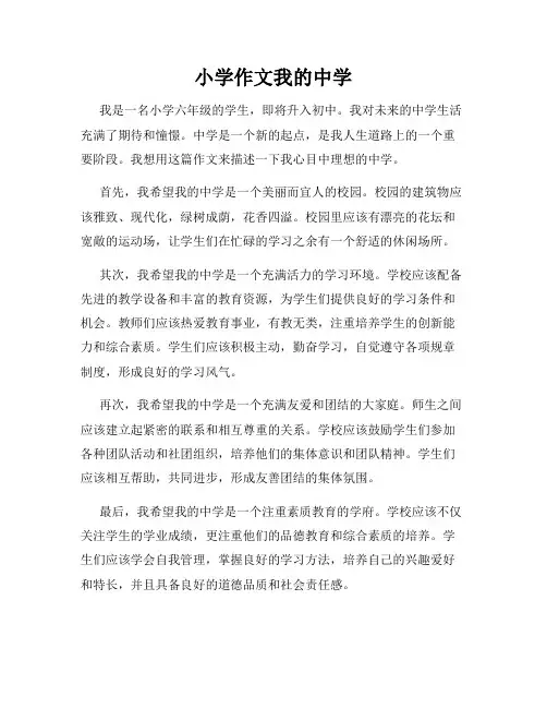 小学作文我的中学