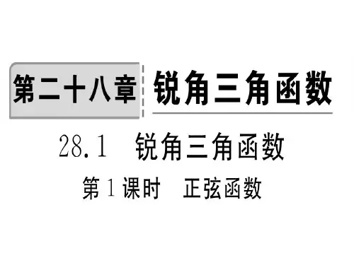28.1第1课时 正弦函数