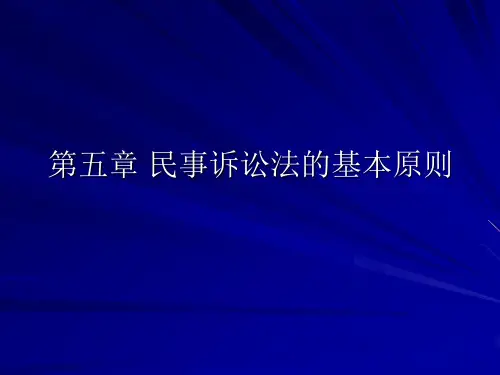 第五章 民事诉讼法的基本原则
