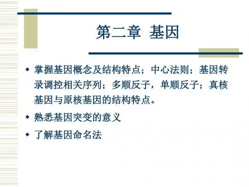 基因 讲解 课件