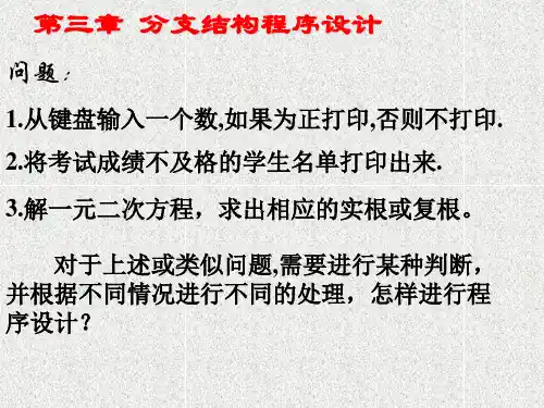 第3章 分支结构