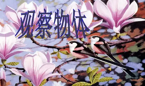 2019年人教最新版小学五年级数学下册观察物体第三课时课件ppt课件