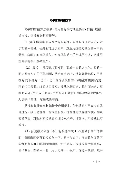 枣树的嫁接技术