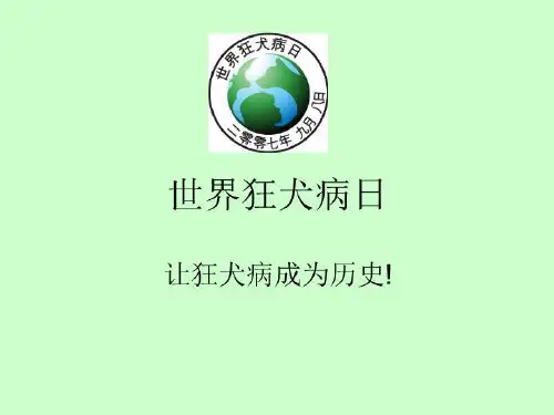 世界狂犬病日43页PPT