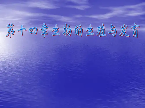 《生物的生殖与发育》复习