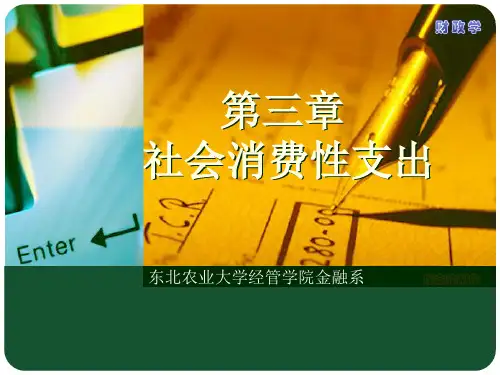 第三章社会消费性支出PPT课件