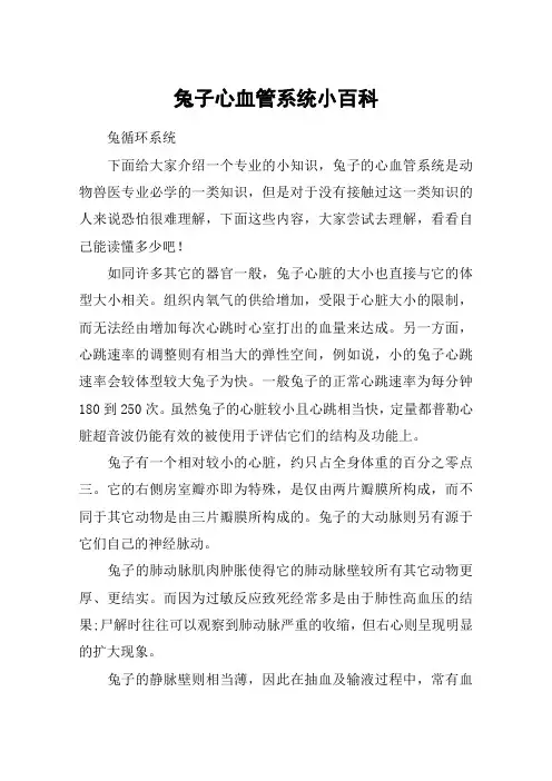 兔子心血管系统小百科