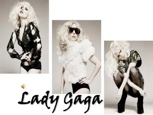 Lady Gaga个人介绍