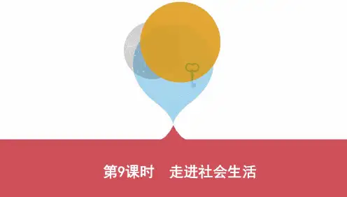 2020年初中三年中考两年模拟道德与法治专题--第9课时走进社会生活