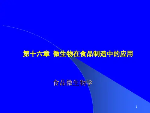 16 微生物在食品制造中的应用