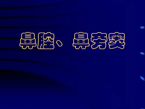 鼻鼻窦影像学表现
