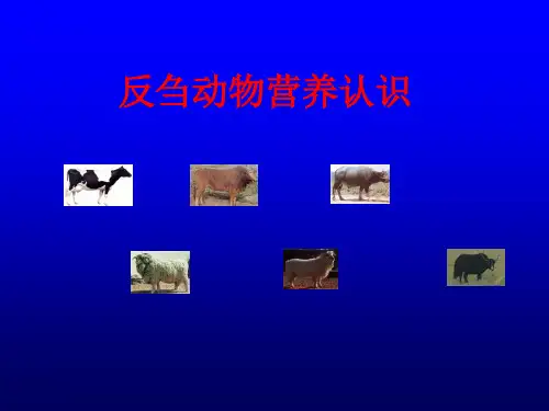 反刍动物营养认识资料