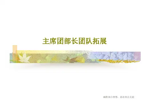 主席团部长团队拓展共36页文档