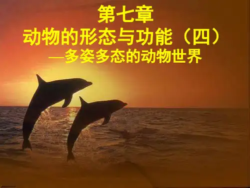动物学第七章