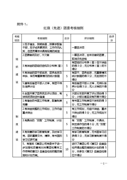 红旗(先进)团委考核细则