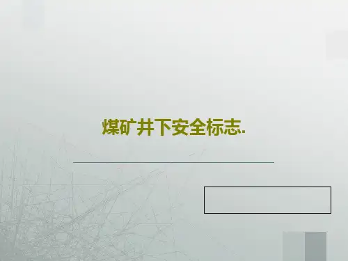 煤矿井下安全标志.51页PPT