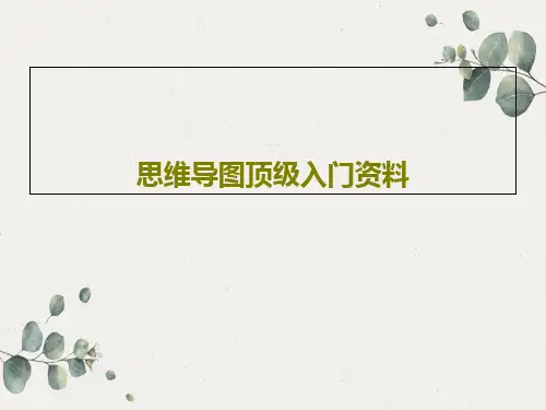 思维导图顶级入门资料共102页