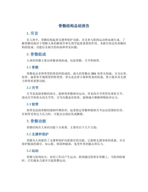 骨骼结构总结报告