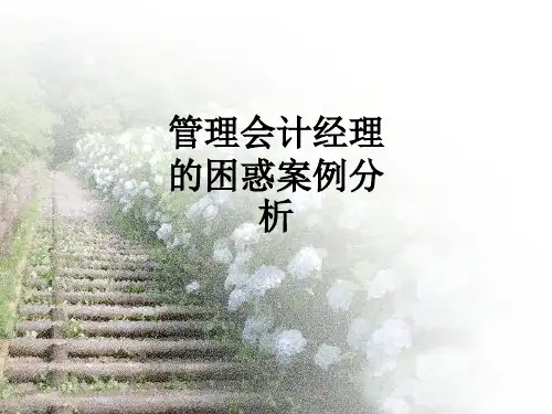 管理会计经理的困惑案例分析ppt课件
