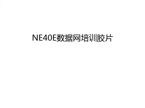 【精品】NE40E数据网培训胶片汇总