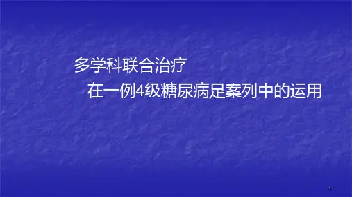 糖尿病足个案ppt课件