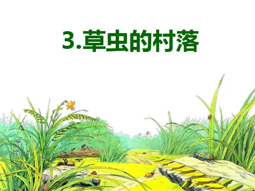 3、《虫草的村落》