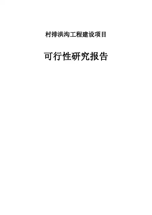 村排洪沟工程建设项目可行性研究报告