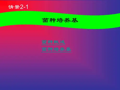 2菌种生产